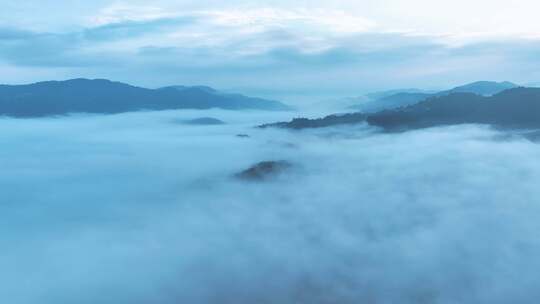 航拍云雾中的茶山