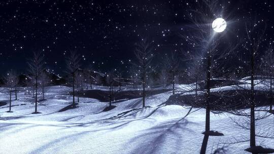 月亮星空星星 雪花下雪 自然树木 白雪