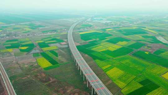 高速公路油菜花海