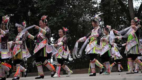 贵州芭莎苗寨芦笙舞表演