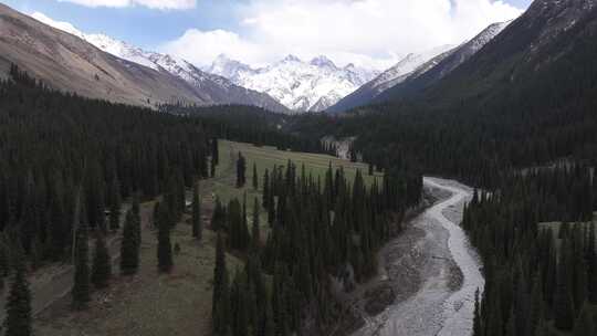 航拍新疆夏塔古道雪山森林草原