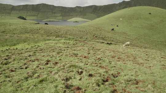 亚速尔群岛，葡萄牙，科尔沃，科尔沃火山岛