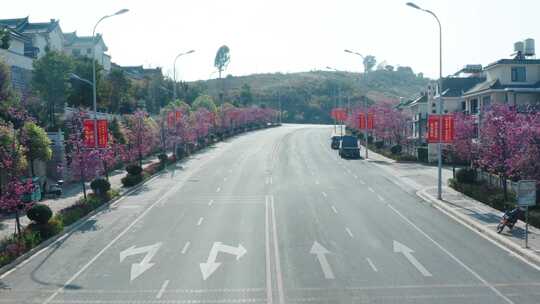 樱花街道 公路飞跃 航拍