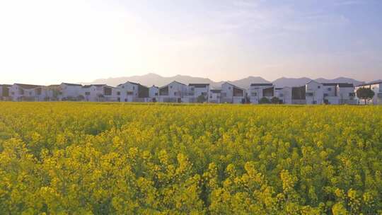 杭州富阳东梓关村春天风景慢镜头