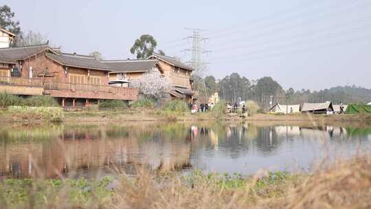 天府正兴 官塘新村 田园 春天 村落