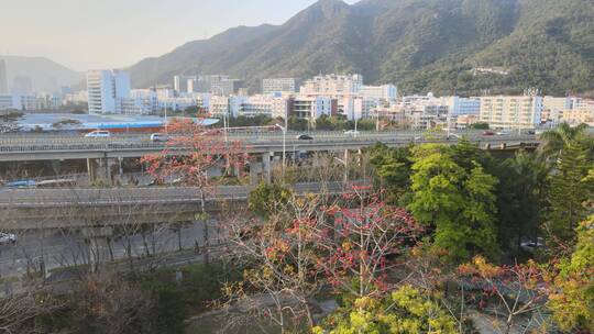 盐田 深圳 深圳盐田 盐田区