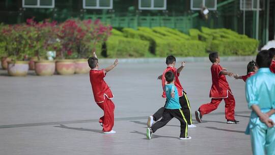 武术视频城市广场上练武小学生踢腿