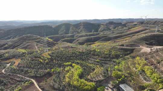 黄土高原