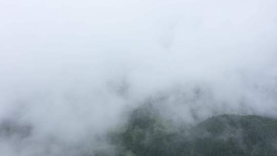 重庆山区农田