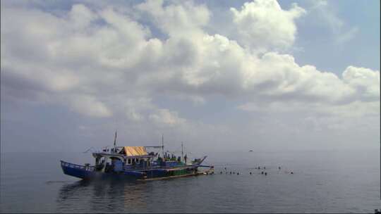 海上渔民捕鱼归来船视频素材模板下载
