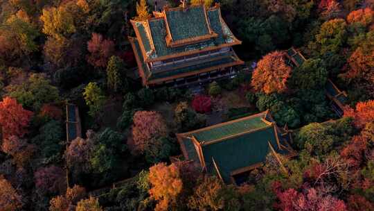 南京钟山藏经楼孙中山纪念馆