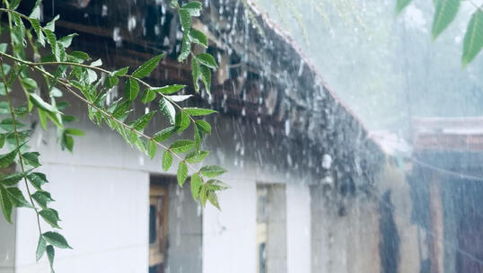 雨中房屋景象绿叶挂水珠高清在线视频素材下载