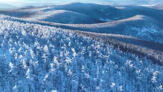 航拍黎明时的大兴安岭林海雪原