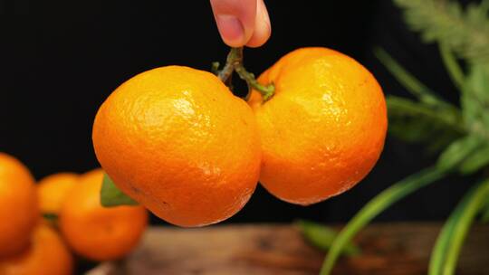 新鲜蜜桔 柑橘 桔子 橘子