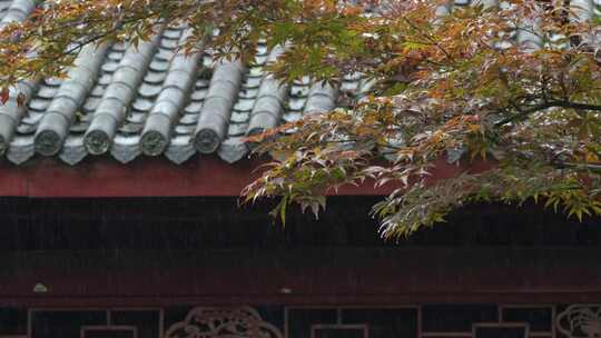 重庆雨季下雨屋檐实拍