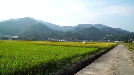 南岳衡山水帘洞风景区乡村稻田风光