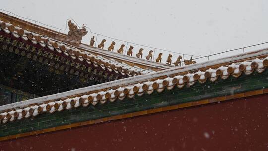 大雪中的故宫屋脊
