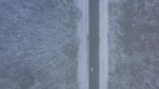 冬季森林里雪地公路上行驶的汽车