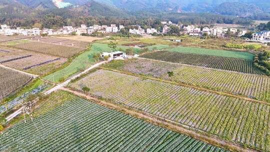 俯瞰乡村田园风光及周边的村庄景色