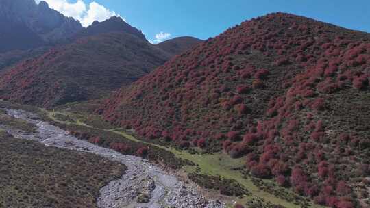 【4K画质】原始山林航拍