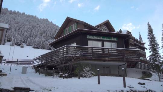 冬天雪中 美丽的山峰森林树木河流 特写