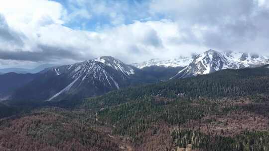 航拍云南香格里拉雪山森林草原 自然风光