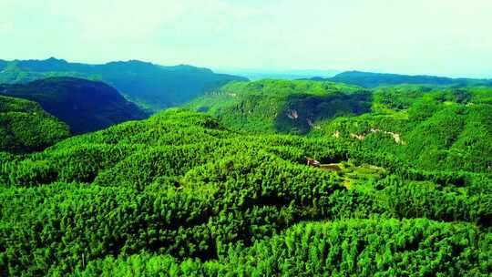 竹海风光茶山人文休闲生活大美河山城市风景