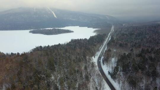 冬季日本北海道雪原森林公路风光