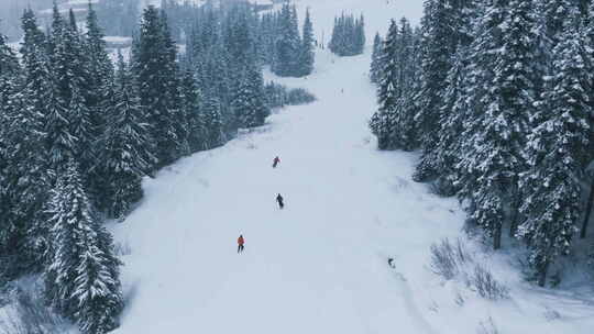 空中滑雪者在美丽的山林景观中沿着雪坡骑行