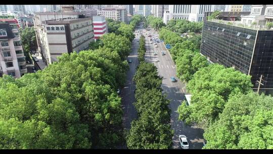 长沙疫情航拍 城市街道 大景 全景 交通视频素材模板下载