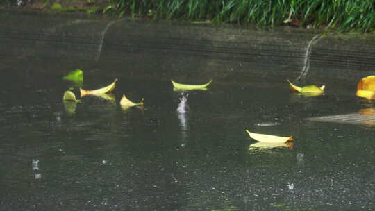 节气谷雨下雨雨滴滴落地面的特写镜头