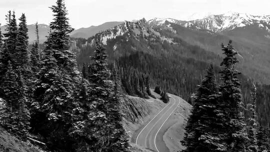 时尚动感快闪标题字幕条电视节目广告介绍AE模板