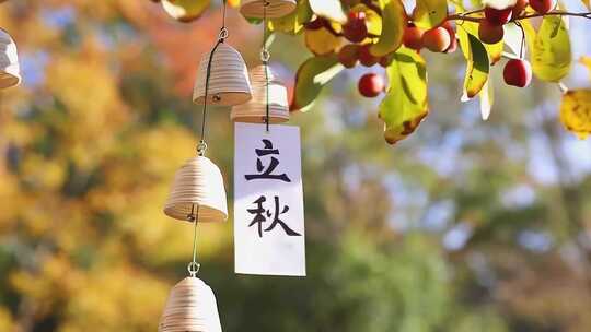 立秋秋天秋分树枝上挂着写有立秋的风铃