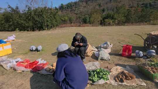 乡村市集：农产品摊位与游客