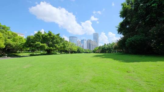 夏天蓝天白云阳光草坪草地绿地树林森林公园