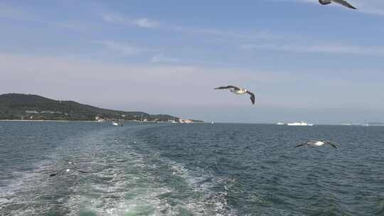 山东威海刘公岛游船渡轮海鸥游客威海湾轮渡