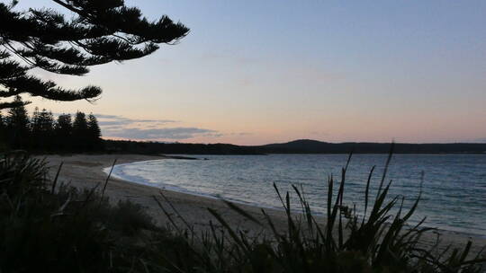 澳大利亚清晨海滩景观视频素材模板下载