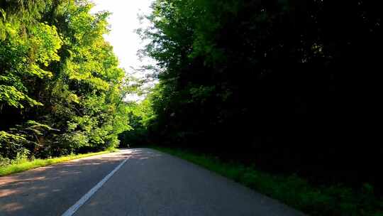 森林中道路行驶的加速视频