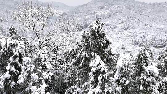 贵州黔东南大峡谷大雪冬季雪景风光银装素裹