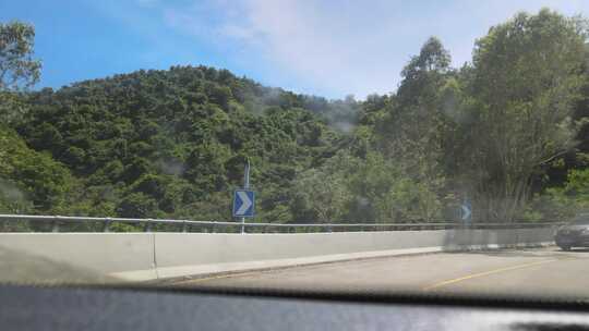 开车 驾驶 沿路 沿路风景视频素材模板下载