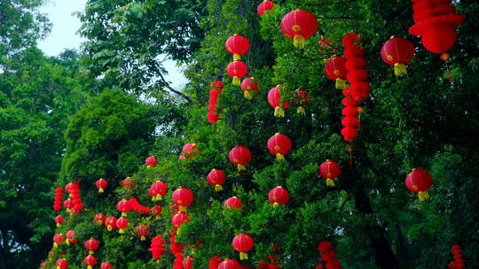 过年春节挂在树上的灯笼张灯结彩视频素材模板下载