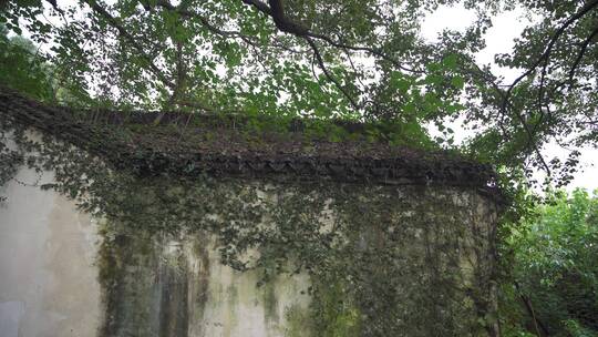 杭州宝石山景区陈文龙墓