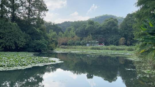 4k 杭州西湖江南园林风景