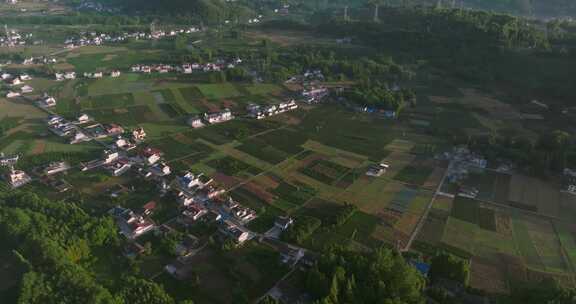 航拍四川乐山农村初夏早晨风景村庄农田