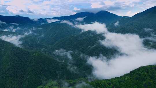 航拍山川云雾森林自然风光大气片头风景视频