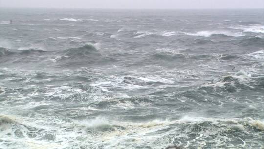 人文素材海浪大海波涛汹涌原素材