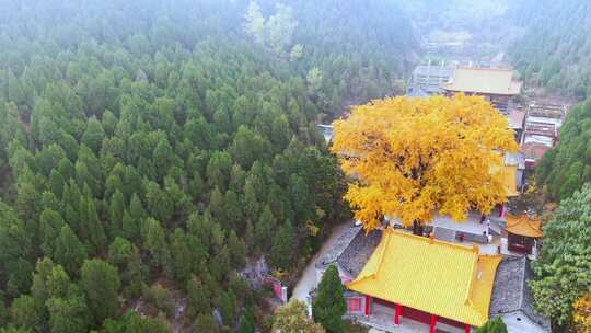 山东济南淌豆寺秋天航拍寺庙