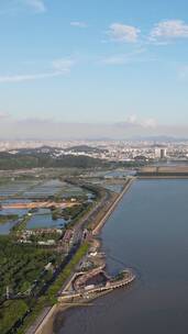 广东虎门养殖基地航拍