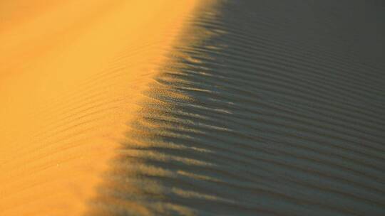 撒哈拉沙漠的金色沙子