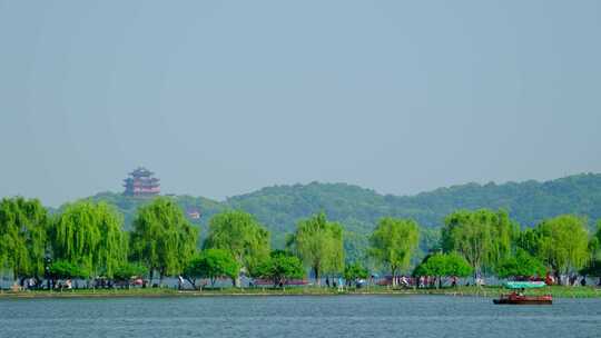 杭州西湖白堤苏堤柳树各个角度风景美景风光